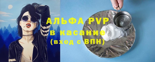 прущие грибы Алексин