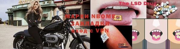гашик Алзамай