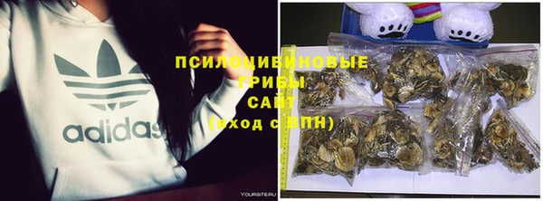 гашик Алзамай