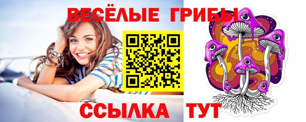 Чусовой  Псилоцибиновые грибы Psilocybe  Вход с VPN 